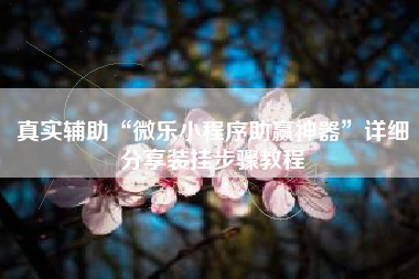 真实辅助“微乐小程序助赢神器”详细分享装挂步骤教程