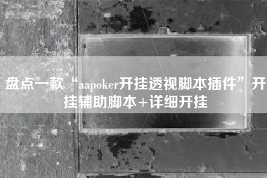 盘点一款“aapoker开挂透视脚本插件”开挂辅助脚本+详细开挂