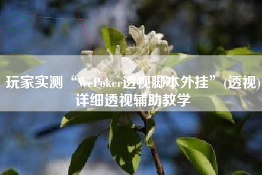 玩家实测“WePoker透视脚本外挂”(透视)详细透视辅助教学
