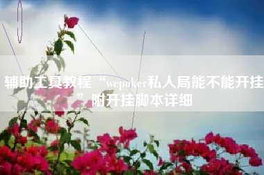 辅助工具教程“wepoker私人局能不能开挂”附开挂脚本详细