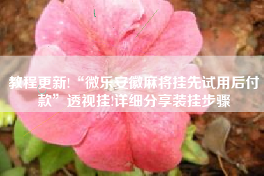 教程更新!“微乐安徽麻将挂先试用后付款”透视挂!详细分享装挂步骤