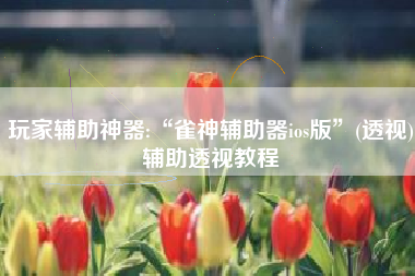 玩家辅助神器:“雀神辅助器ios版”(透视)辅助透视教程