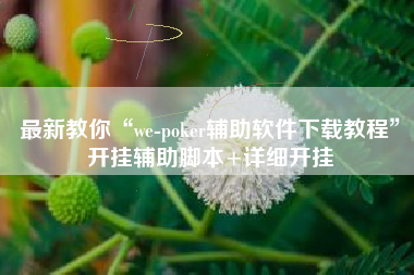 最新教你“we-poker辅助软件下载教程”开挂辅助脚本+详细开挂