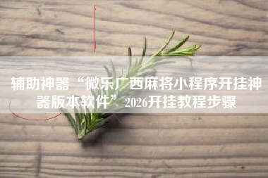 辅助神器“微乐广西麻将小程序开挂神器版本软件”2026开挂教程步骤