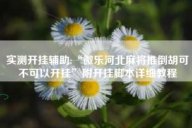 实测开挂辅助:“微乐河北麻将推倒胡可不可以开挂”附开挂脚本详细教程