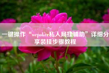 一键操作“wepoker私人局挂辅助	”详细分享装挂步骤教程