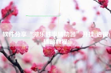软件分享“微乐胜率辅助器”开挂(透视)辅助教程!