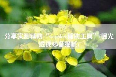 分享实测辅助“wepoker辅助工具”(曝光透视必备猫腻)