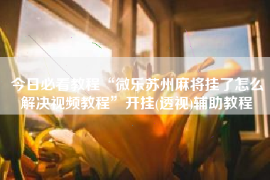 今日必看教程“微乐苏州麻将挂了怎么解决视频教程”开挂(透视)辅助教程