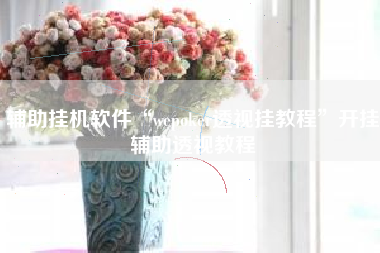 辅助挂机软件“wepoker透视挂教程	”开挂辅助透视教程