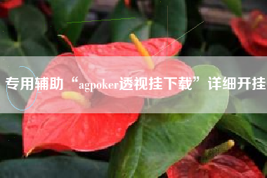 专用辅助“agpoker透视挂下载”详细开挂