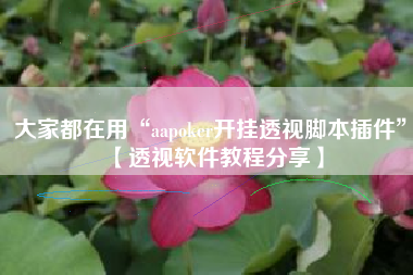 大家都在用“aapoker开挂透视脚本插件	”【透视软件教程分享】