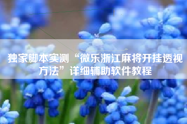 独家脚本实测“微乐浙江麻将开挂透视方法	”详细辅助软件教程