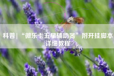 科普|“微乐卡五星辅助器	”附开挂脚本详细教程