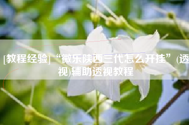 [教程经验]“微乐陕西三代怎么开挂”(透视)辅助透视教程