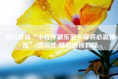 辅助教程“小程序微乐家乡麻将必赢神器”(透视挂)辅助透视教程