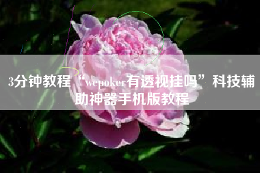 3分钟教程“wepoker有透视挂吗”科技辅助神器手机版教程