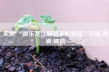 实测!“微乐龙江麻将手机版挂”开挂(透视)辅助