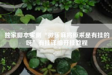 独家脚本实测“微乐麻将原来是有挂的呀	”有挂详细开挂教程