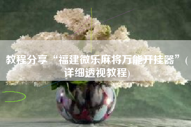 教程分享“福建微乐麻将万能开挂器”(详细透视教程)