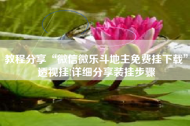 教程分享“微信微乐斗地主免费挂下载”透视挂!详细分享装挂步骤