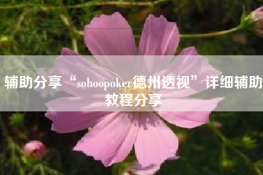 辅助分享“sohoopoker德州透视	”详细辅助教程分享