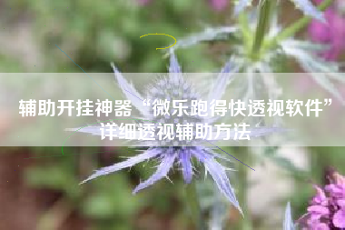 辅助开挂神器“微乐跑得快透视软件”详细透视辅助方法