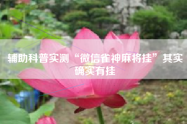 辅助科普实测“微信雀神麻将挂	”其实确实有挂