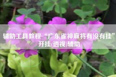 辅助工具教程“广东雀神麻将有没有挂”开挂(透视)辅助