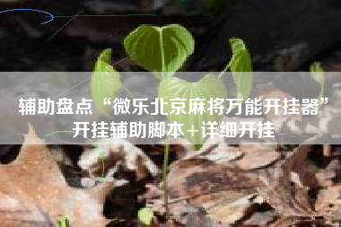 辅助盘点“微乐北京麻将万能开挂器”开挂辅助脚本+详细开挂