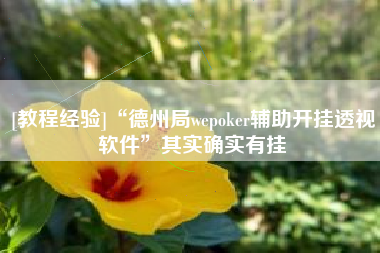 [教程经验]“德州局wepoker辅助开挂透视软件	”其实确实有挂