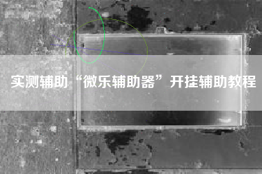 实测辅助“微乐辅助器”开挂辅助教程