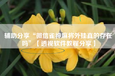 辅助分享“微信雀神麻将外挂真的存在吗”【透视软件教程分享】