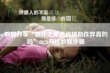 教程分享“德扑之星透视辅助作弊真的吗”2026开挂教程步骤