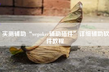 实测辅助“wepoker辅助插件	”详细辅助软件教程