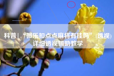 科普|“微乐扣点点麻将有挂吗”(透视)详细透视辅助教学