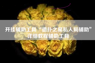 开挂辅助工具“德扑之星私人局辅助”详细教程辅助工具