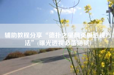 辅助教程分享“德扑之星网页版透视方法	”(曝光透视必备猫腻)