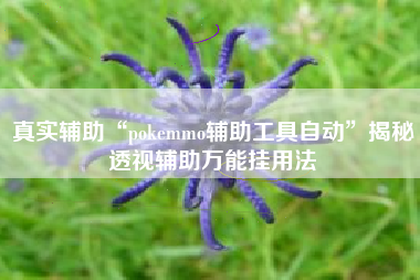 真实辅助“pokemmo辅助工具自动”揭秘透视辅助万能挂用法