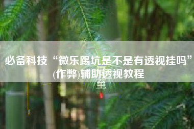 必备科技“微乐踢坑是不是有透视挂吗”(作弊)辅助透视教程