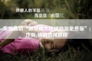 实测辅助“微乐锄大地辅助器免费版”(作弊)辅助透视教程