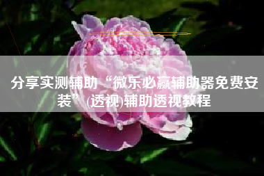 分享实测辅助“微乐必赢辅助器免费安装”(透视)辅助透视教程