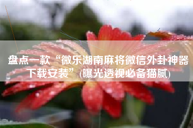 盘点一款“微乐湖南麻将微信外卦神器下载安装”(曝光透视必备猫腻)