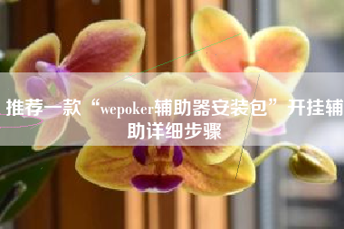 推荐一款“wepoker辅助器安装包”开挂辅助详细步骤