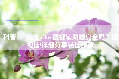 科普|“红龙poker透视辅助器安全吗	”透视挂!详细分享装挂步骤