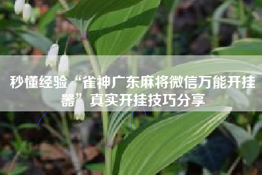 秒懂经验“雀神广东麻将微信万能开挂器”真实开挂技巧分享