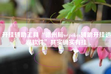 开挂辅助工具“德州局wepoker辅助开挂透视软件	”其实确实有挂