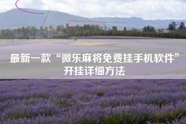 最新一款“微乐麻将免费挂手机软件”开挂详细方法