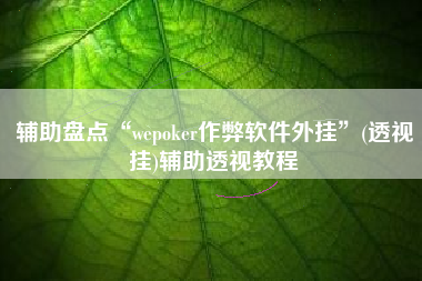 辅助盘点“wepoker作弊软件外挂”(透视挂)辅助透视教程