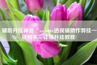 辅助开挂神器“aapoker透视辅助作弊挂一键购买	”详细开挂教程!